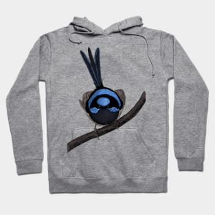 Fairy wren drawing 2 Hoodie